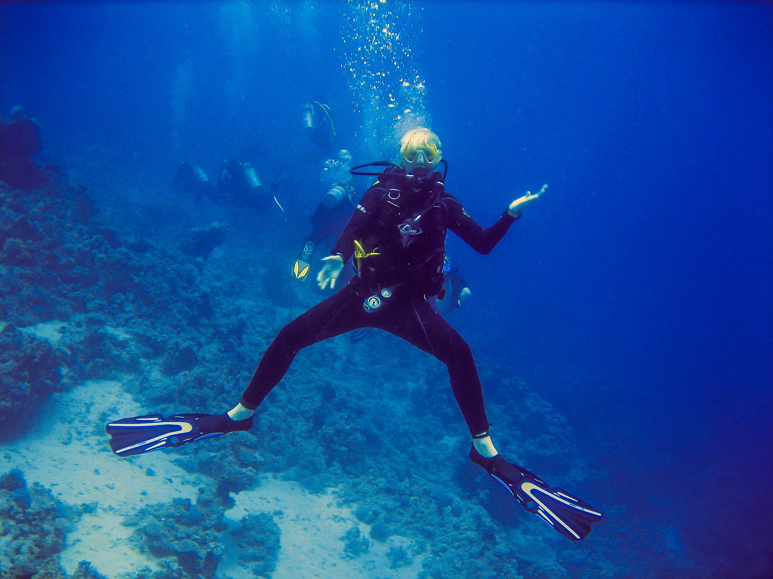 Blue Explorer Viper Spearfishing & Diving Knife - Underwater Sports Diving  Centre